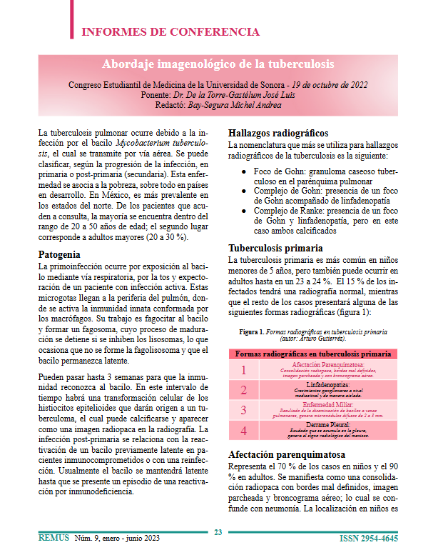 Cover Page of the Conference Report: Imaging Approach to Tuberculosis